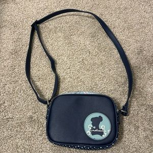Dani Cinderella crossbody purse.